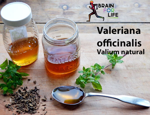 valium natural