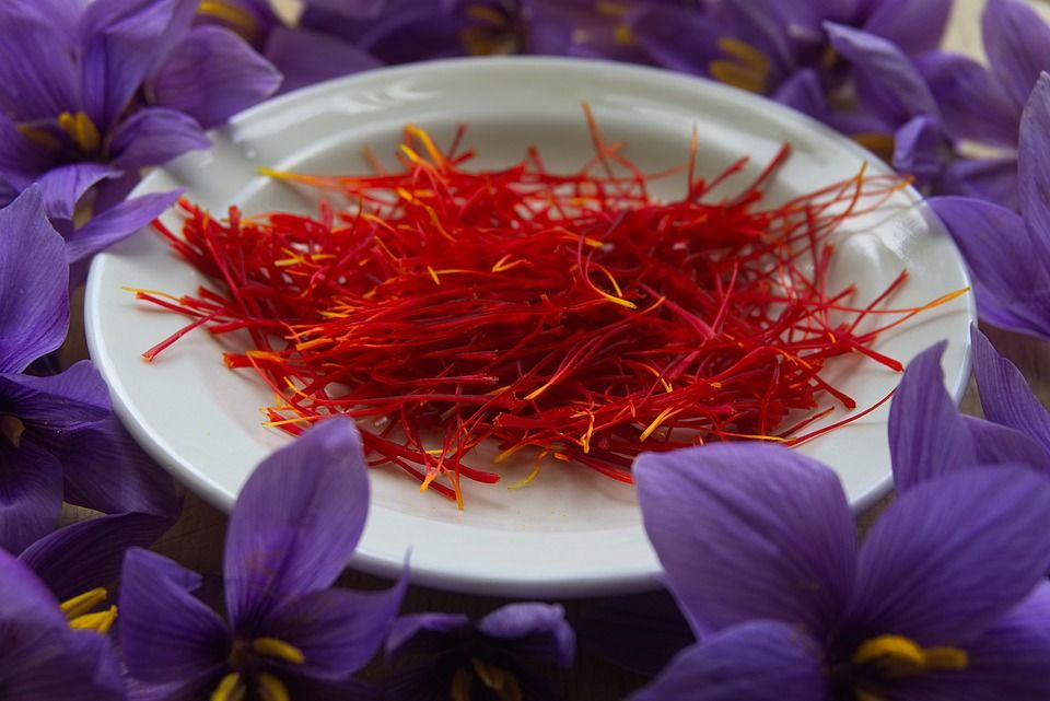 Șofranul sau Crocus sativus
